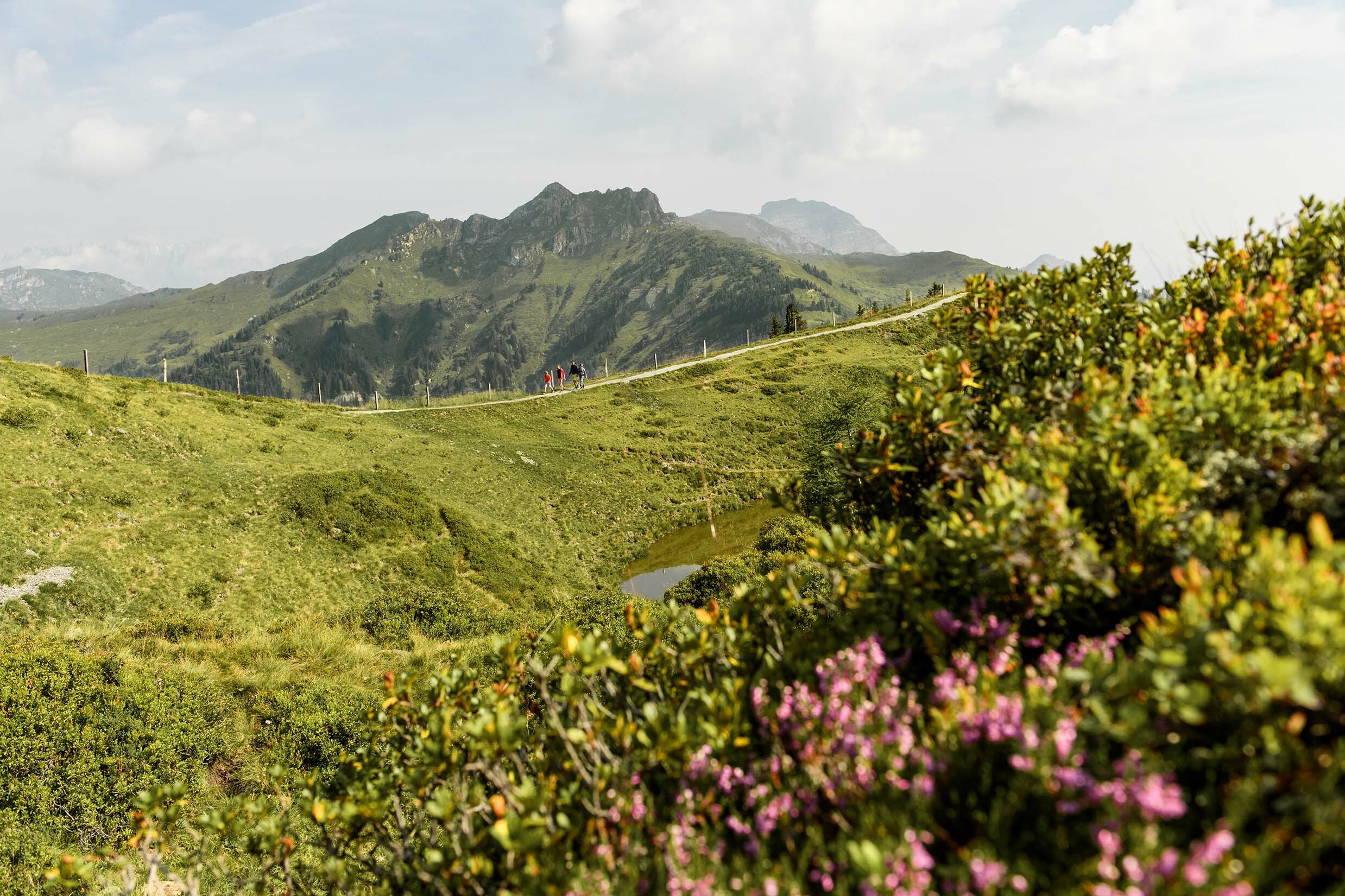 Dorfgastein Gastein