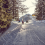 (c) Steiermark Tourismus / Peter Lugosi